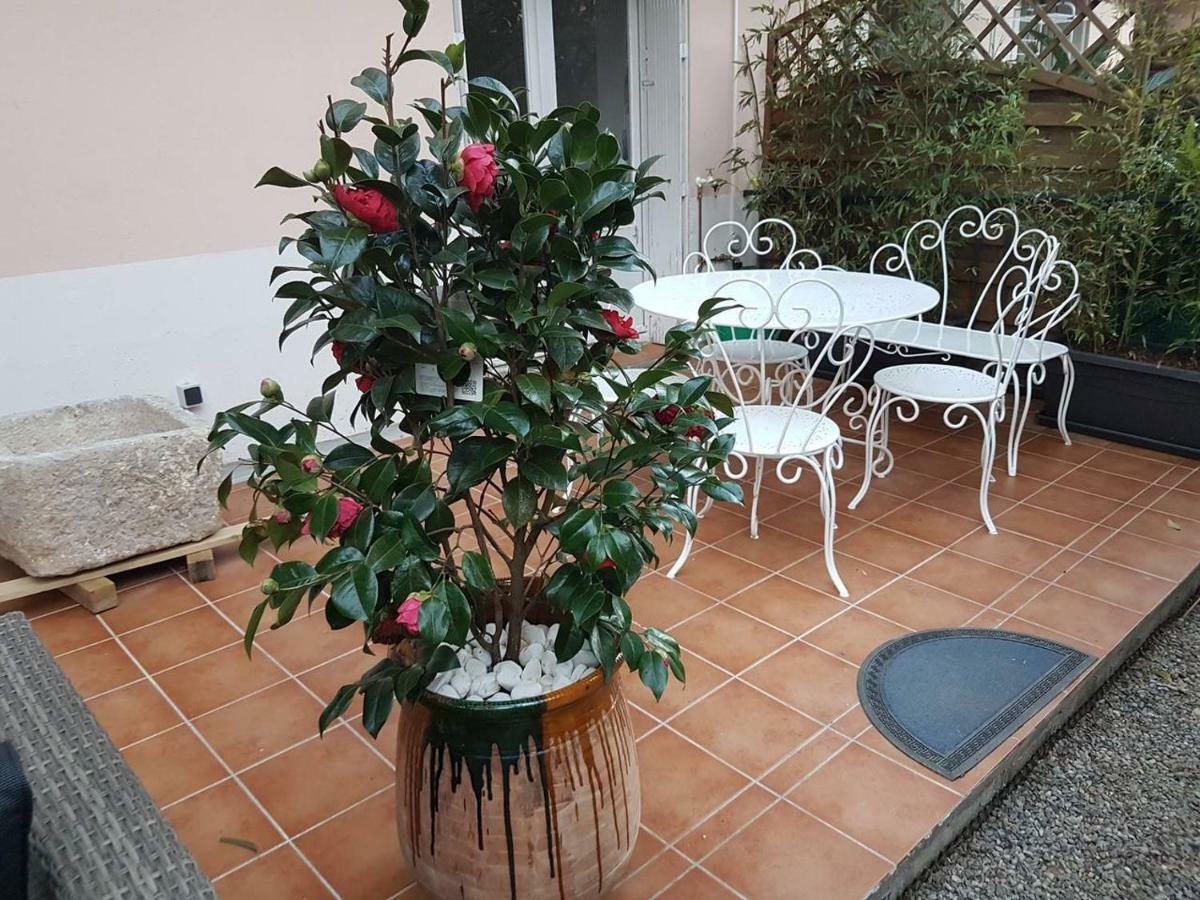 23 Rue Jean Amade Apartment Céret Екстериор снимка