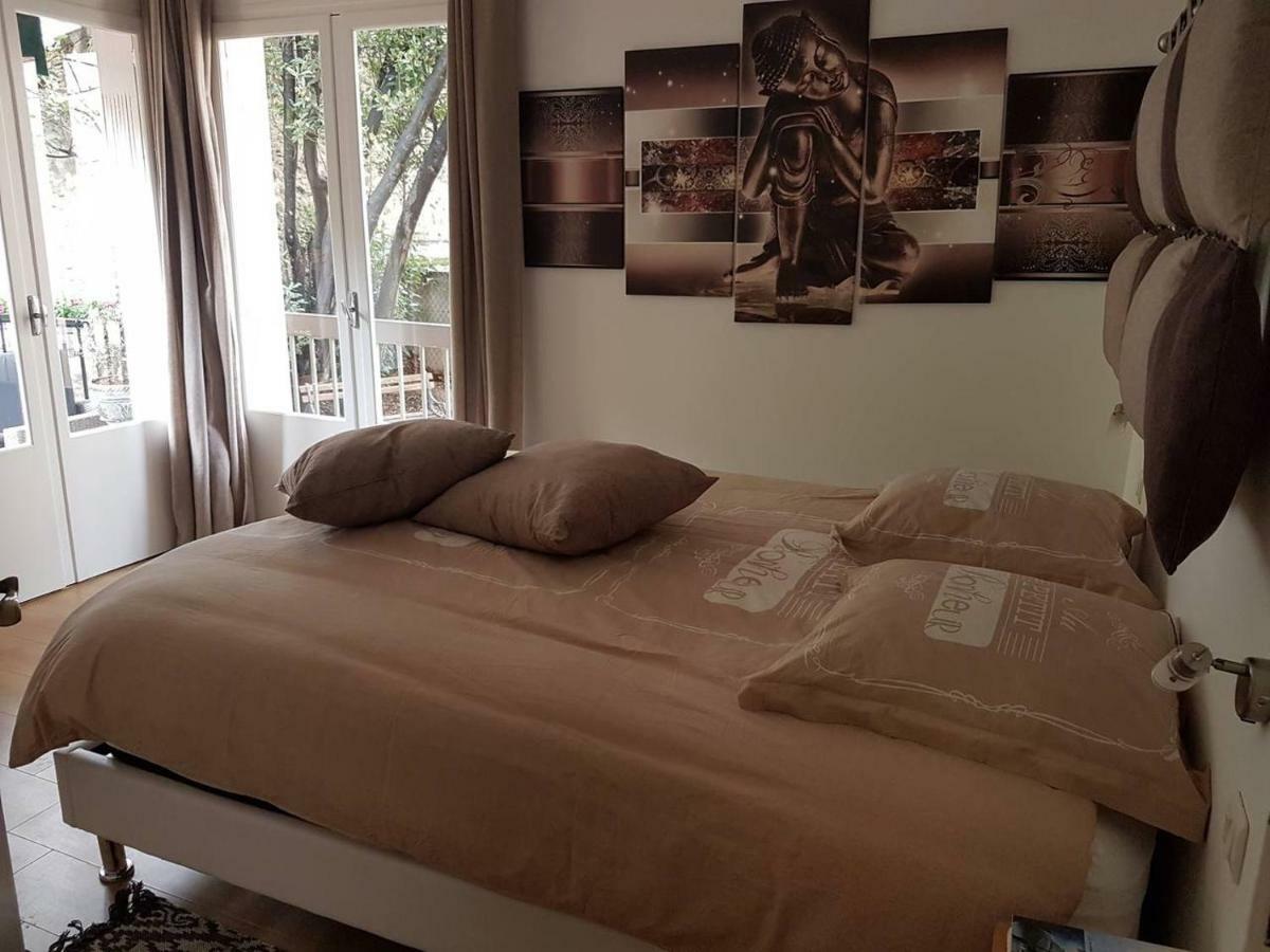 23 Rue Jean Amade Apartment Céret Екстериор снимка