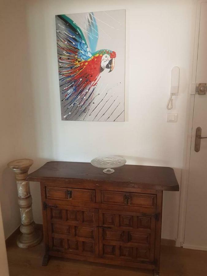 23 Rue Jean Amade Apartment Céret Екстериор снимка